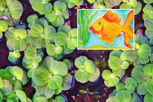 Load image into Gallery viewer, Sundown